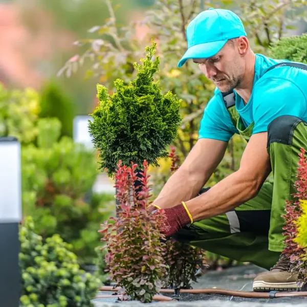 How to Build a Zero-Waste Harvesting Station for a Self-Sufficient Garden