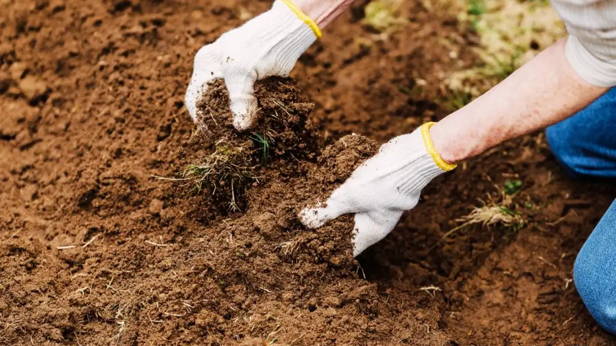 It Fixes Broken Soil