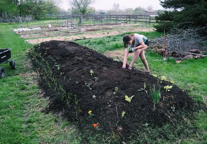 Large Fresh Soil Mound