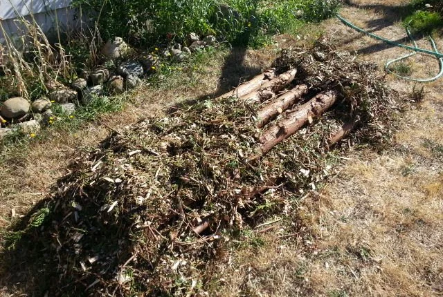 Layered Log and Debris Mound