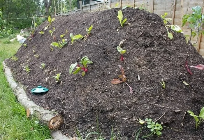 Log Bordered Soil Hill