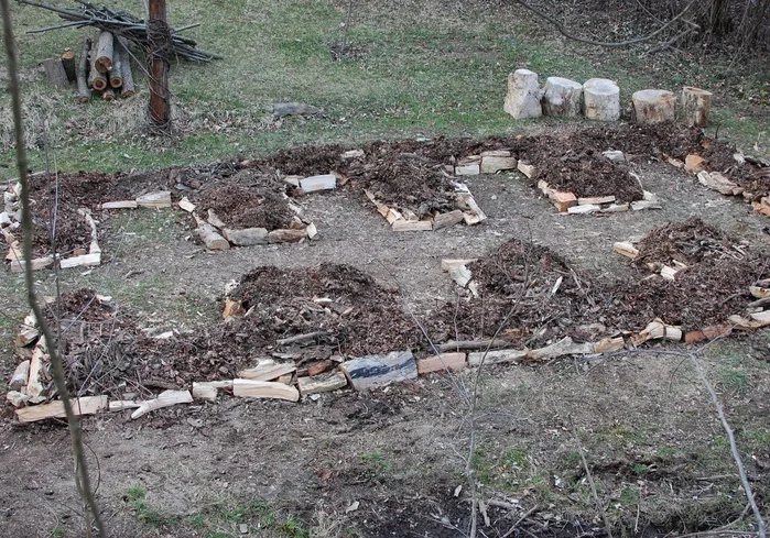 Log-Framed Grid Beds