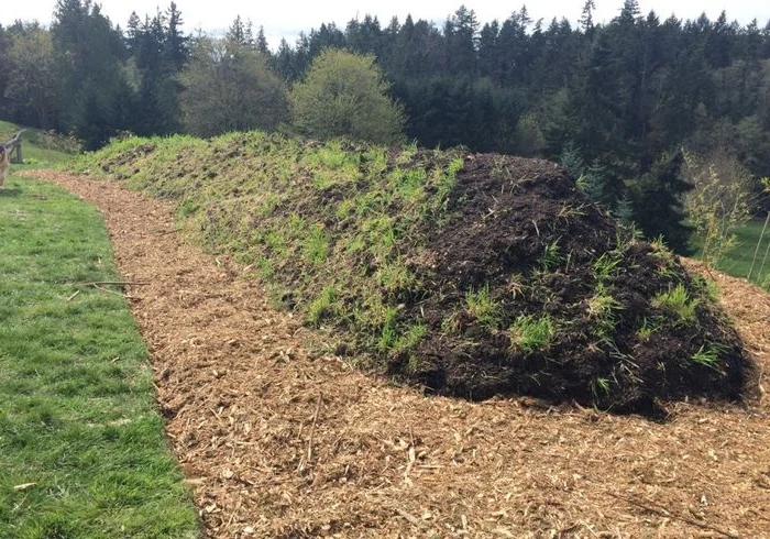 Long Wood-Chip Path and Growing Mound