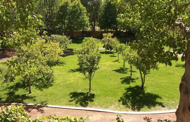 Lush Permaculture Garden