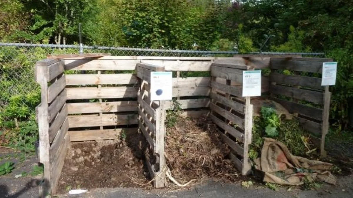 Move Your Bin to a Shaded Spot (or Cover It)