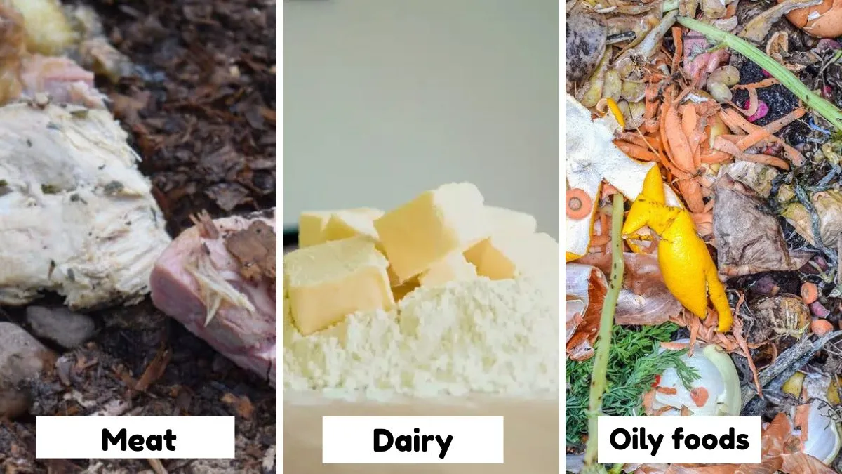 Never Add Meat, Dairy, or Oily Foods in Summer