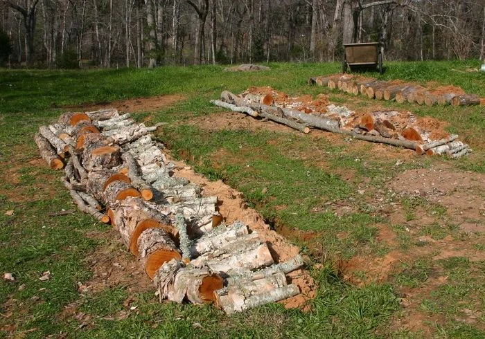 Parallel Log Trench Foundation