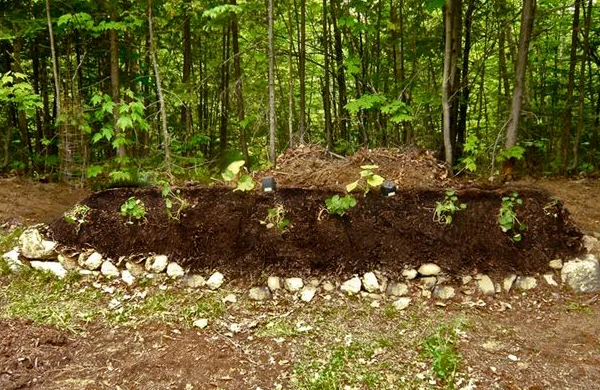 Rock Framed Terrace Mound
