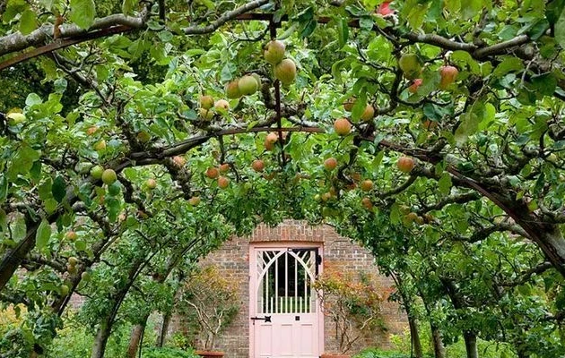 Scenic Slope Orchard