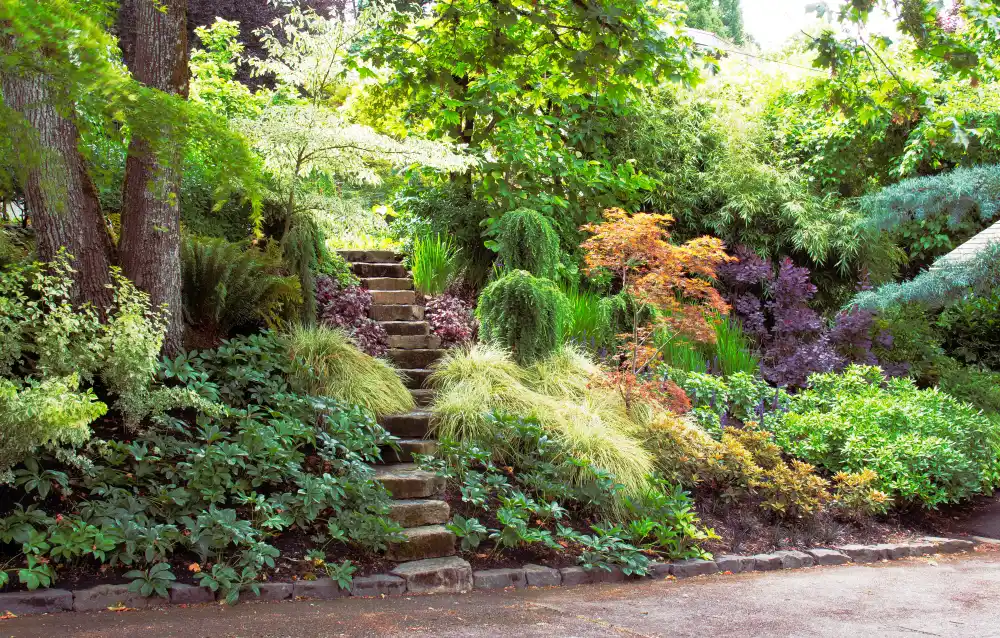 Stone Hillside Stairs