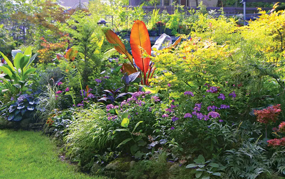 Striking Tropical Colors