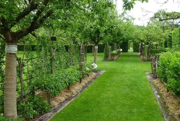 Structured Garden Alley