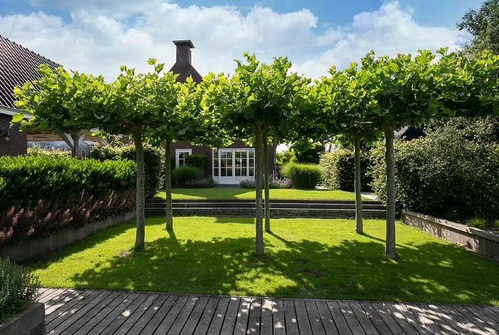 Terraced Stone Garden
