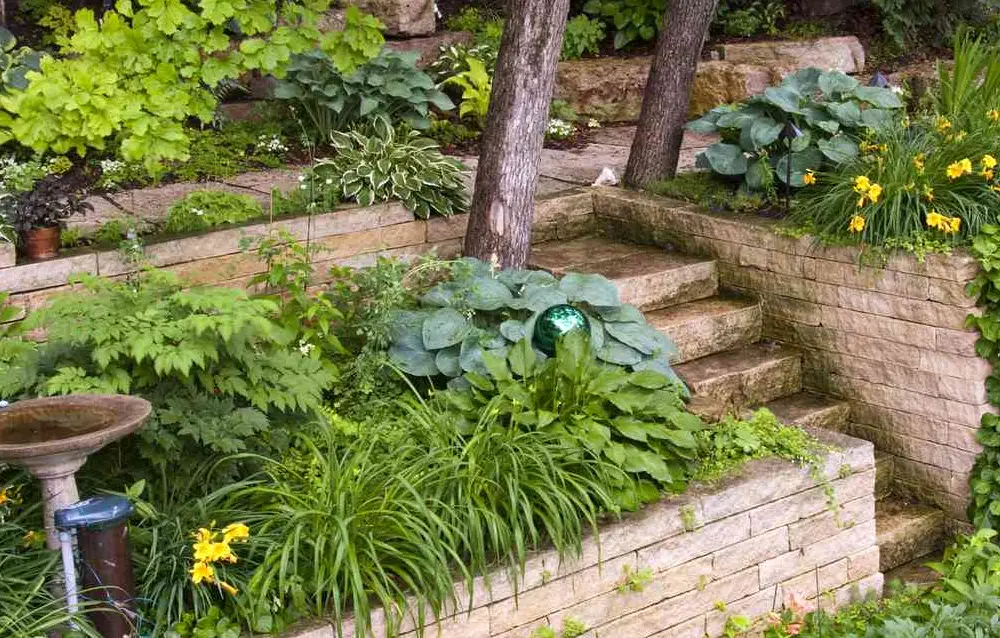 Tiered Stone Terraces