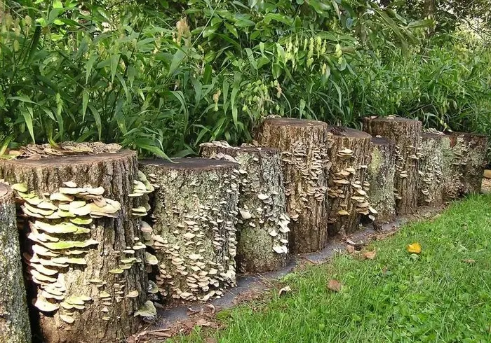 Vertical Log Mushroom Border
