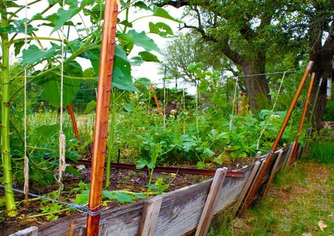 Wooden Board and T-Post Enclosure