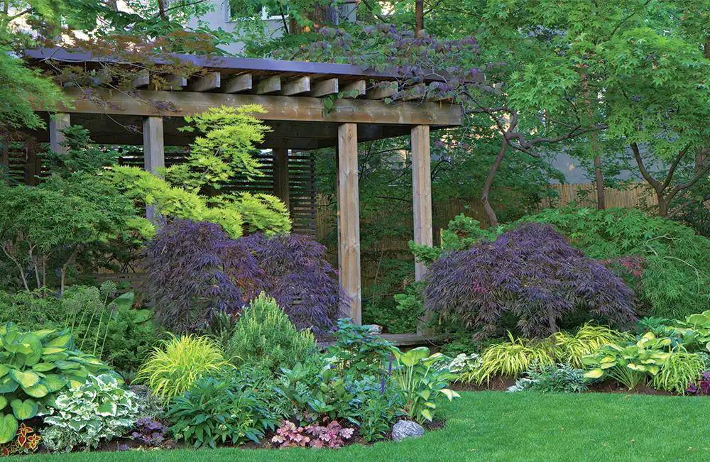 Wooden Garden Pergola