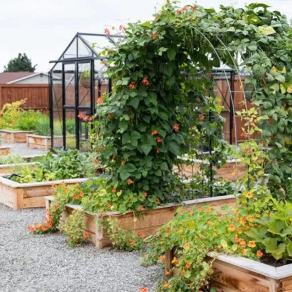33 Gravel Lined Raised Beds Ideas for an Elegant Outdoor Retreat