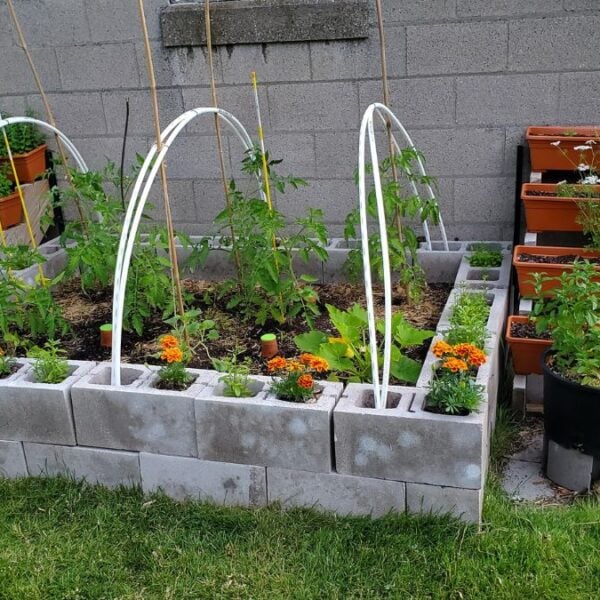 35 Cinder Block Garden Ideas for Stunning Low-Maintenance Yards