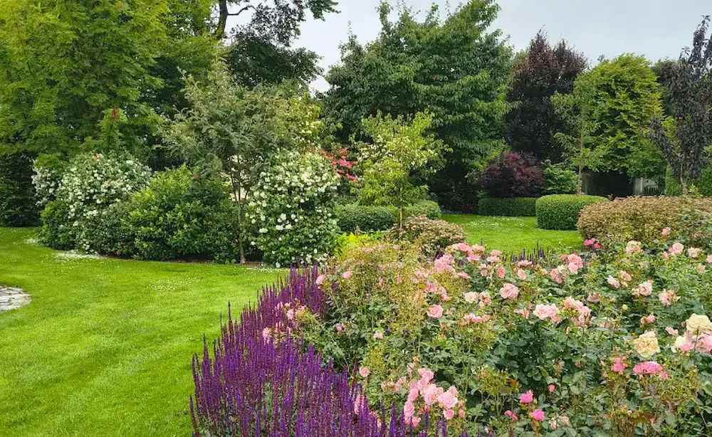 Breathtaking Floral Border