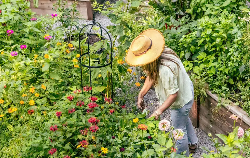 Raised Wooden Garden Beds
