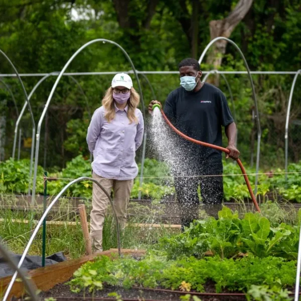 29 Permaculture Garden Ideas