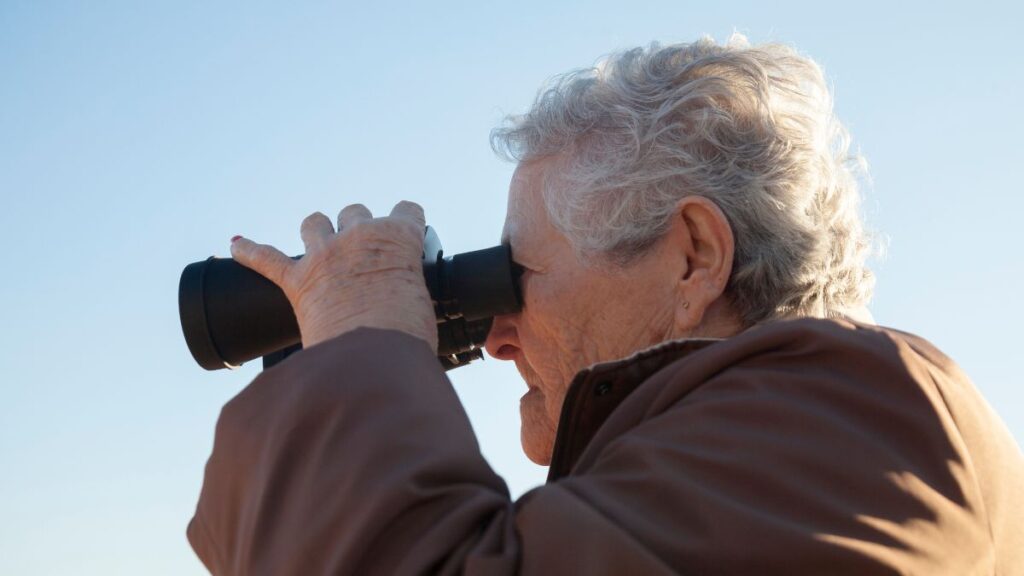 Birdwatching