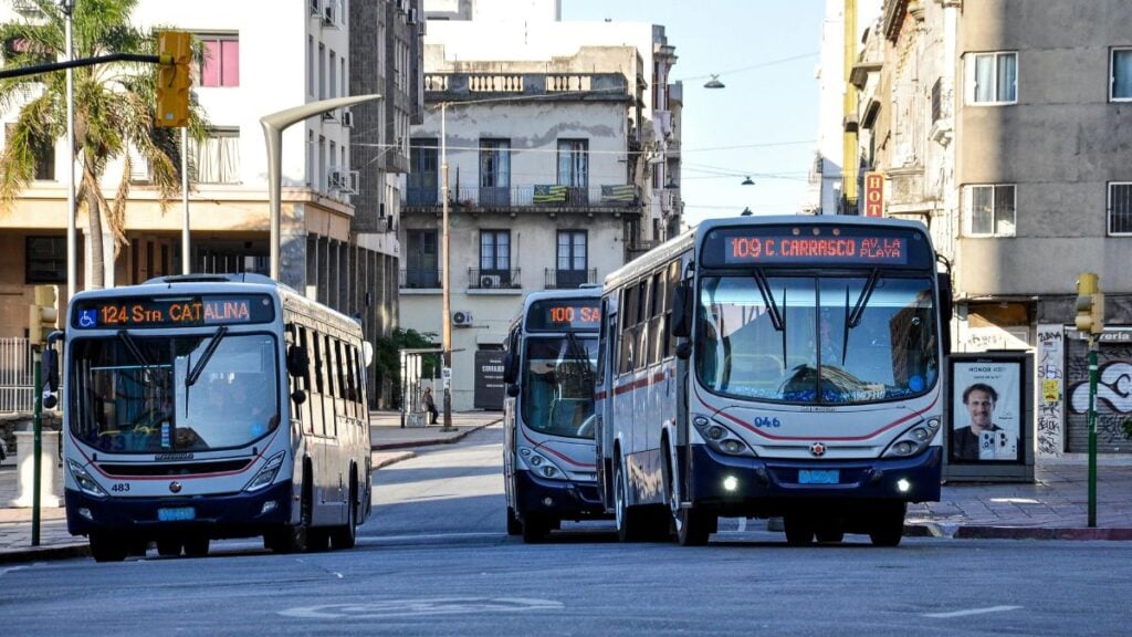 Buses