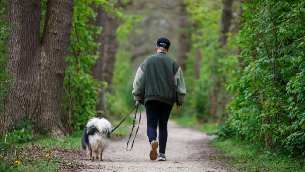 Walking the dog