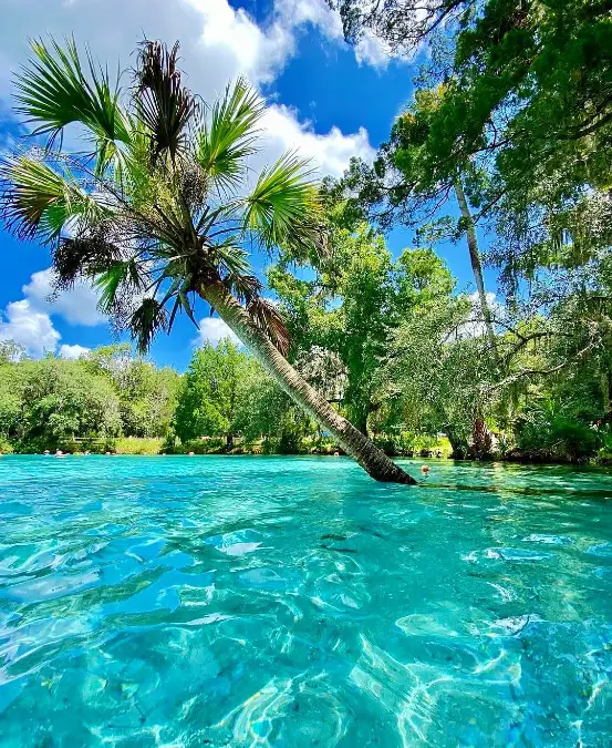 Ocala, Florida