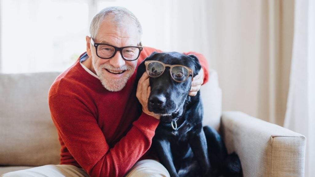 Spend Time With Animals Before Adopting One