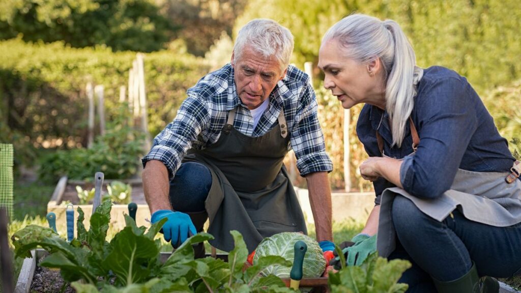 Grow a Garden Together