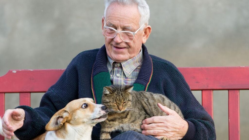 Pet Sitting