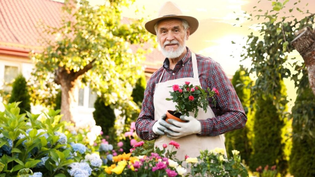 Gardening