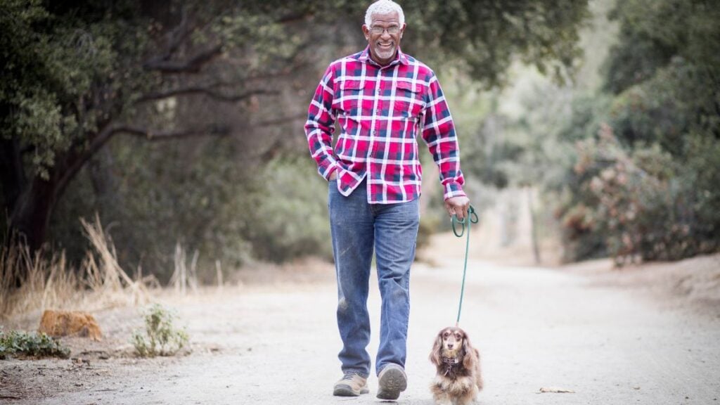 Dog Walking