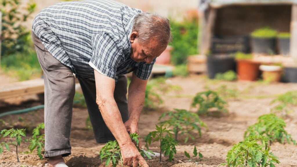 gardening