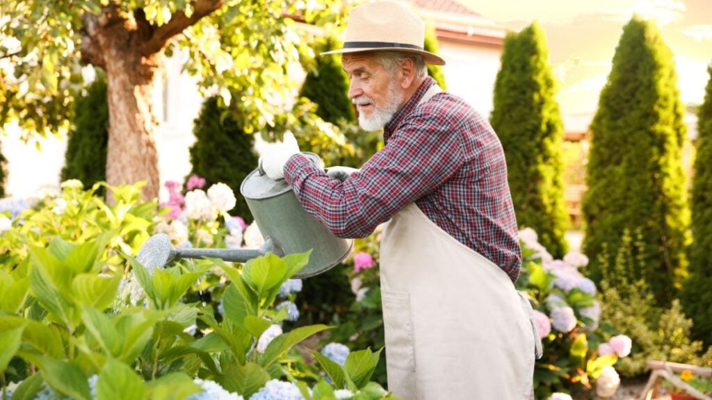 Gardening